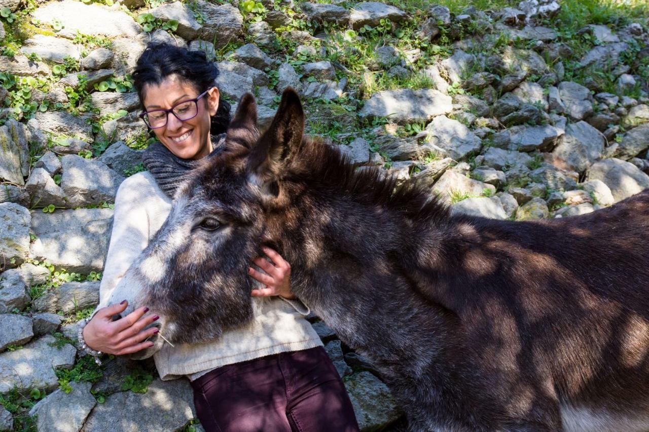 Agriturismo A Ca Vegia Calice Ligure Eksteriør billede