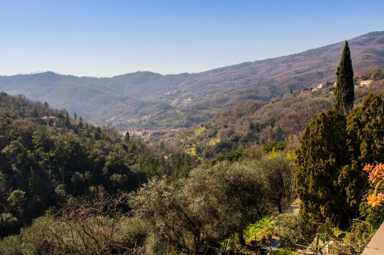 Agriturismo A Ca Vegia Calice Ligure Eksteriør billede